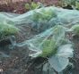 Soft Butterfly Netting, Ideal Brassica Protection