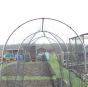Large High Top Hoop Frame  (Fruit & Vegetable Hoop Cages) - PCHL