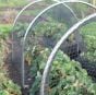 Large High Top Garden Hoop Tunnel Kits with Garden Netting - HTTL