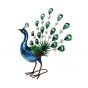 Vibrant Fan Tail Metal Peacock