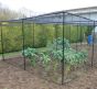 Premium Walk In Fruit and Vegetable Cages