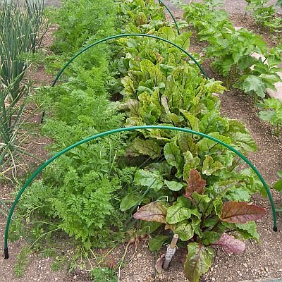 Flexible Green Garden Cloche Crop Protection Hoops Pack of 5 & 10 Anchors
