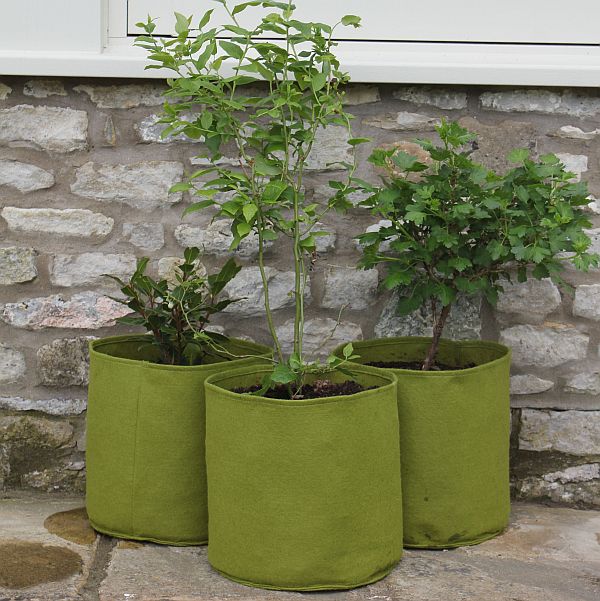 archief Overtreden zand Vigoroot Fabric Pots For Flowers or Fruit 10L - Gardening Naturally